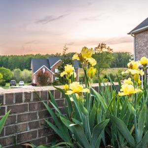 Photo #80 of 2220 Colby Drive, Forest, VA 0.6 acres