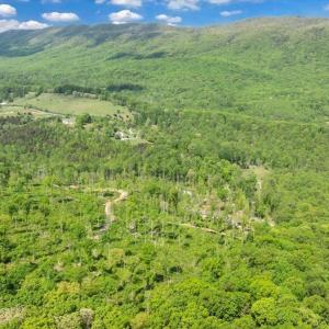 Photo #95 of 122 Gravelly Ridge Road, Troutville, VA 5.0 acres