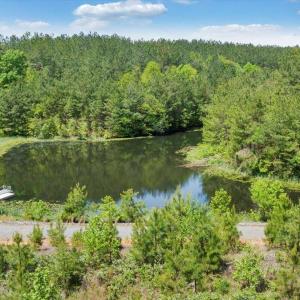 Photo #67 of 20438 Wyatts Way, Evington, VA 158.2 acres