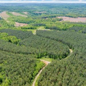 Photo #74 of 20438 Wyatts Way, Evington, VA 158.2 acres