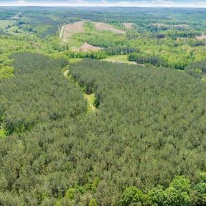Photo #75 of 20438 Wyatts Way, Evington, VA 158.2 acres