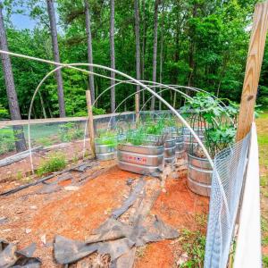 Photo #50 of 135 Warner Road, Lynchburg, VA 6.1 acres