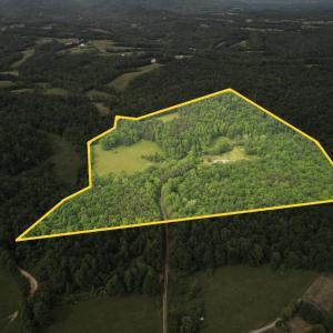 Photo #4 of 640 Jones Mill Road, Cana, VA 50.0 acres