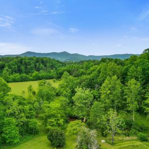 Photo #43 of 640 Jones Mill Road, Cana, VA 50.0 acres