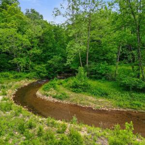 Photo #36 of 640 Jones Mill Road, Cana, VA 50.0 acres