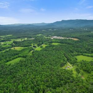 Photo #46 of 640 Jones Mill Road, Cana, VA 50.0 acres