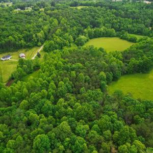 Photo #48 of 640 Jones Mill Road, Cana, VA 50.0 acres