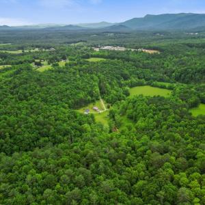 Photo #47 of 640 Jones Mill Road, Cana, VA 50.0 acres