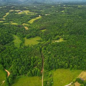 Photo #44 of 640 Jones Mill Road, Cana, VA 50.0 acres