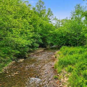 Photo #40 of 640 Jones Mill Road, Cana, VA 50.0 acres