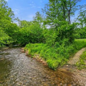 Photo #39 of 640 Jones Mill Road, Cana, VA 50.0 acres