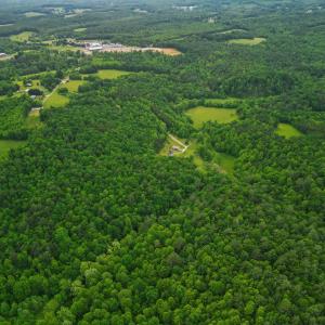 Photo #45 of 640 Jones Mill Road, Cana, VA 50.0 acres