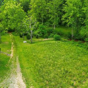 Photo #50 of 640 Jones Mill Road, Cana, VA 50.0 acres