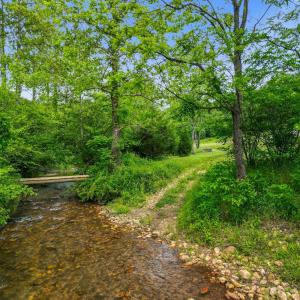 Photo #41 of 640 Jones Mill Road, Cana, VA 50.0 acres