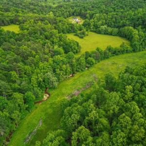 Photo #58 of 640 Jones Mill Road, Cana, VA 50.0 acres