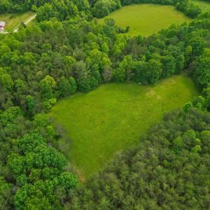 Photo #49 of 640 Jones Mill Road, Cana, VA 50.0 acres