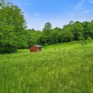 Photo #53 of 640 Jones Mill Road, Cana, VA 50.0 acres