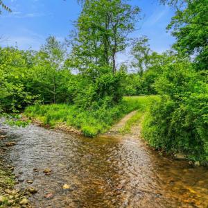 Photo #38 of 640 Jones Mill Road, Cana, VA 50.0 acres