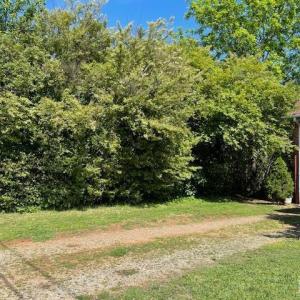 Photo #2 of 202 Leftwich Street, Gretna, VA 0.5 acres