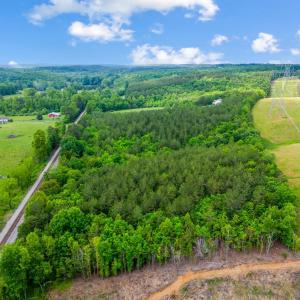 Photo #71 of 491 Pacoman Road, Evington, VA 27.2 acres