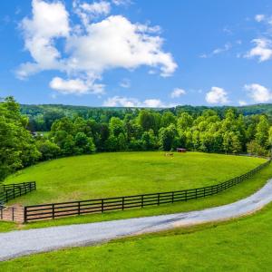 Photo #76 of 491 Pacoman Road, Evington, VA 27.2 acres