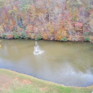 Photo #57 of 450 Holyfield Lane, Moneta, VA 12.0 acres