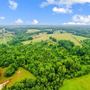 Photo #32 of 7845 Bear Creek Road, Gladys, VA 112.0 acres