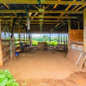 Photo #96 of 7845 Bear Creek Road, Gladys, VA 112.0 acres