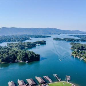 Photo #79 of 1037 Westerham Court, Huddleston, VA 0.4 acres