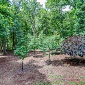 Photo #52 of 1146 Audubon Drive, Lynchburg, VA 2.5 acres