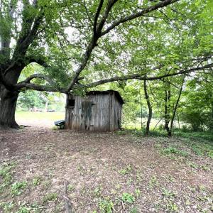 Photo #47 of 221 Castle Craig Drive, Evington, VA 1.7 acres