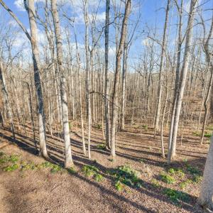 Photo #63 of 302 Molly Stark Trail, Lynchburg, VA 0.1 acres