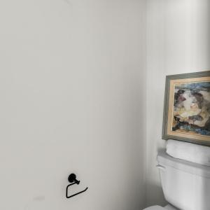 Photo #18 of 179 Meadow Brook Cir, Danville, VA 0.6 acres