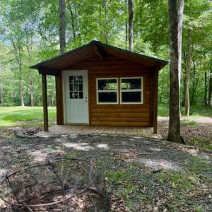 Photo #84 of 1038 Lees Mill Lane, Goode, VA 20.0 acres