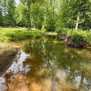 Photo #88 of 1038 Lees Mill Lane, Goode, VA 20.0 acres