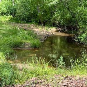 Photo #87 of 1038 Lees Mill Lane, Goode, VA 20.0 acres