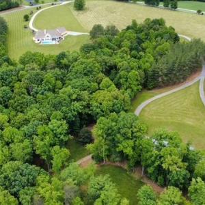 Photo #69 of 1038 Lees Mill Lane, Goode, VA 20.0 acres