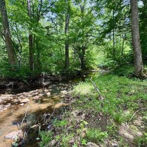 Photo #89 of 1038 Lees Mill Lane, Goode, VA 20.0 acres