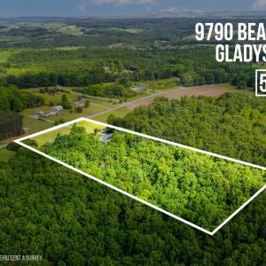 Photo #55 of 9790 Bear Creek Rd, Gladys, VA 5.0 acres