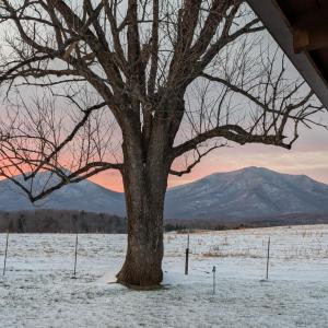 Photo #79 of 202 Springhill Circle, Bedford, VA 8.7 acres