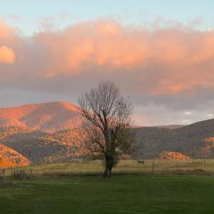 Photo #76 of 202 Springhill Circle, Bedford, VA 8.7 acres