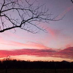 Photo #81 of 202 Springhill Circle, Bedford, VA 8.7 acres