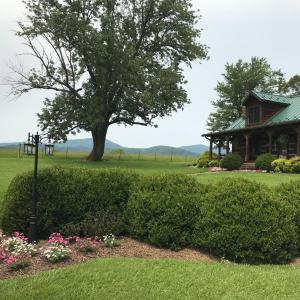 Photo #3 of 202 Springhill Circle, Bedford, VA 8.7 acres