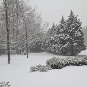 Photo #75 of 202 Springhill Circle, Bedford, VA 8.7 acres