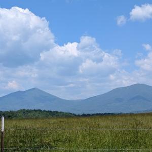 Photo #8 of 202 Springhill Circle, Bedford, VA 8.7 acres
