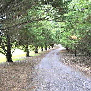 Photo #69 of 202 Springhill Circle, Bedford, VA 8.7 acres