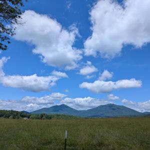 Photo #84 of 202 Springhill Circle, Bedford, VA 8.7 acres