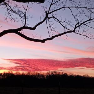 Photo #75 of 202 Springhill Circle, Bedford, VA 8.7 acres