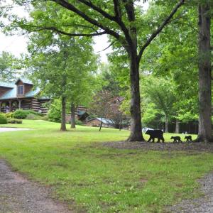 Photo #68 of 202 Springhill Circle, Bedford, VA 8.7 acres