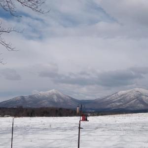 Photo #79 of 202 Springhill Circle, Bedford, VA 8.7 acres